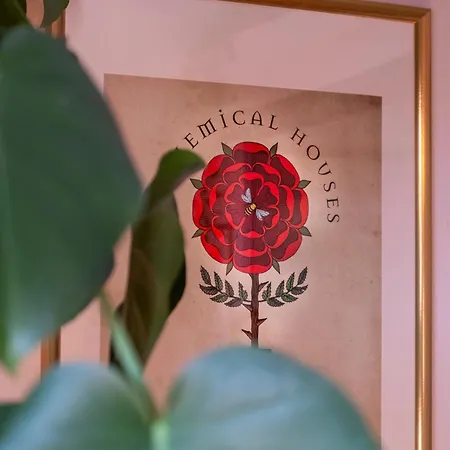 House Of Alchemy - Albedo - San Luca