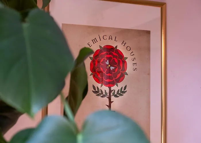 House Of Alchemy - Albedo - San Luca